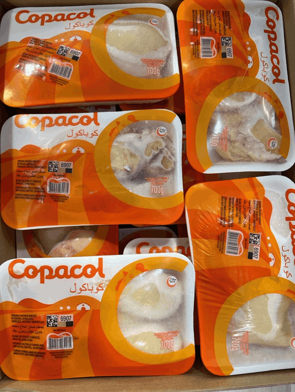 صدر ماعون كوبكول